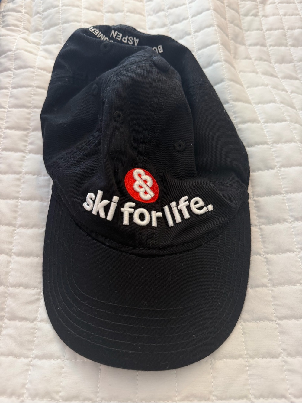 Aspen Skiing Hat